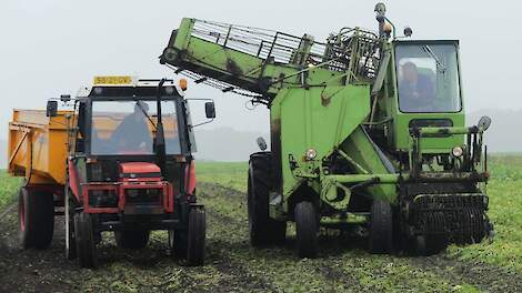 Zelfrijdende Stoll-bietenrooier en meer bij oldtimer bieten rooien in Sellingen