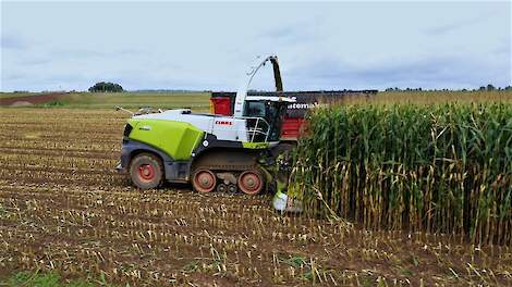 Claas Jaguar 960 TerraTrac-hakselaar op rupsen