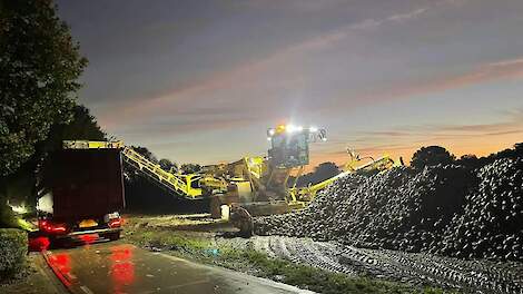 De bieten van akkerbouwer Huub Kleuters uit Merkelbeek moesten maandag 14 oktober klaarliggen. Uiteindelijk werden ze pas dinsdagochtend 22 oktober om 6.30 uur geladen.