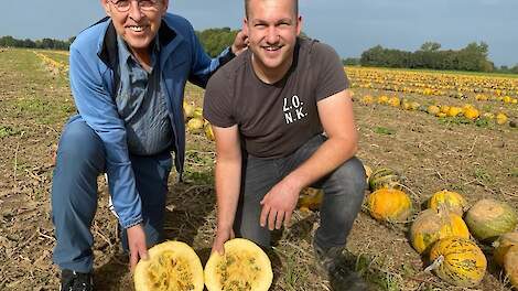 Jetse Schokker op bezoek bij Edwin Smits, die voor IDorganics de pompoenen voor de Nederlandse pompoenpitten verbouwt.