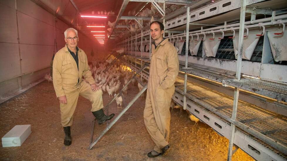 Leghennenhouders Bert (rechts) en zijn vader Helmus Torsius zijn enthousiast over witte hennen.