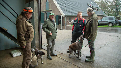 Henk van Vorsselen (tweede van links) en Harrij Meijs (links) gaan iedere dinsdag ‘op de ganzen’ bij melkveehouder Paul Schouten (tweede van rechts) in Doorwerth (GD).