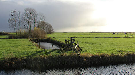 Fieldlab Groene Hart ziet goede mogelijkheden om de veenweiden in een versneld tempo te verduurzamen en zoekt daar boeren bij.