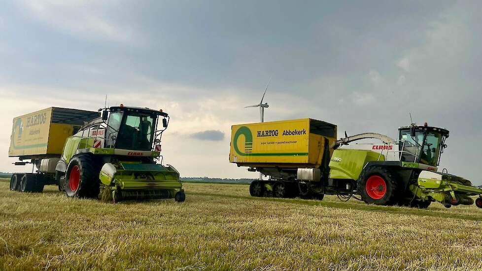 Grasrogerij Hartog bezig met de grasoogst, in de zomer van 2024.