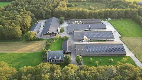 Klazien en Eric van Drie houden al ruim dertig jaar moederdieren. Eerst in de buurt van Nijkerk (GD), maar nu al jaren in Noordwolde op de grens van Friesland en Drenthe.