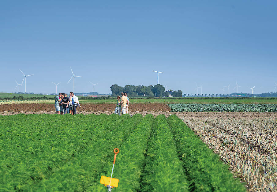 ICM vraagt om een brede blik over het hele bouwplan.