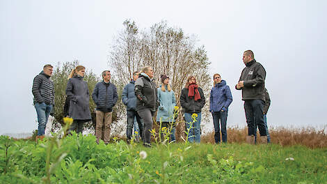 In het project Buijtenland van Rhoon werken landbouw, natuurbeheer en recreatie samen met overheden aan natuurinclusieve landbouw.