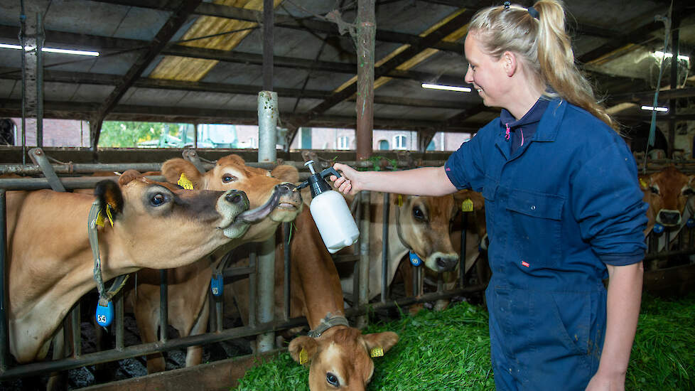 Silvia van Straten en haar man hebben het afgelopen jaar homeopathie ingezet bij hun 65 koeien die ze houden in Meddo. Dit jaar zijn er wat milde, maar geen ernstige klachten geweest.