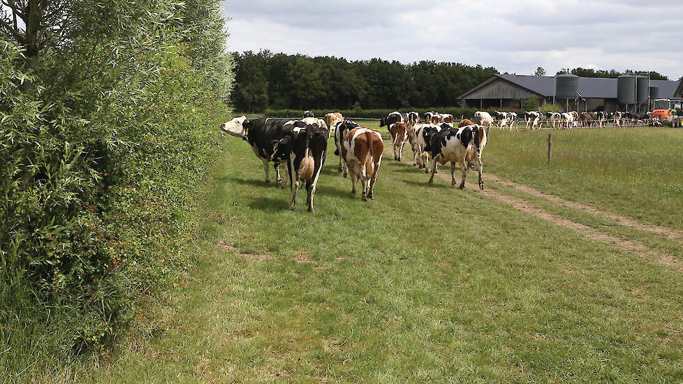 De ‘1001ha’-campagne is sinds oktober dit jaar uitgebreid met een campagne voor meer bomen en struiken op boerenerven.