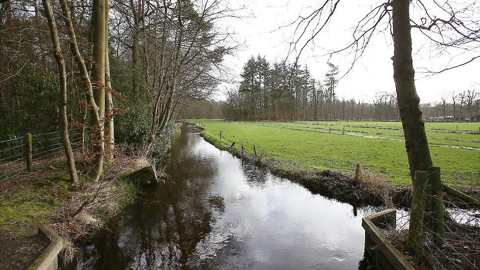 De Veluwe.