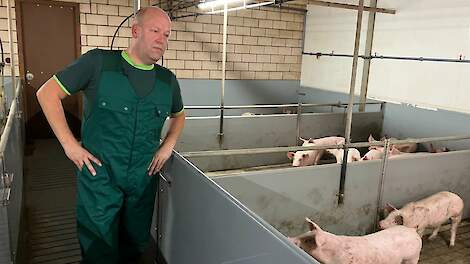 Twan Rovers: "Met ons digitale varken, het Vitamax® Groeimodel, kunnen we precies zien wat de effecten van een (voer)aanpassing zijn voor de varkens op jouw bedrijf en met welke strategie we een optimale groei behalen.”