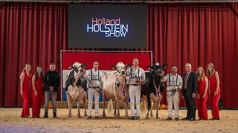 De zwartbonte seniorenkampioenes imponeerden bij zwartbont: Rechts kampioene Bons-Koba Holsteins 245, midden reservekampioene Bons-Holsteins Koba 253, links HM Southland Dem Dellia 92.