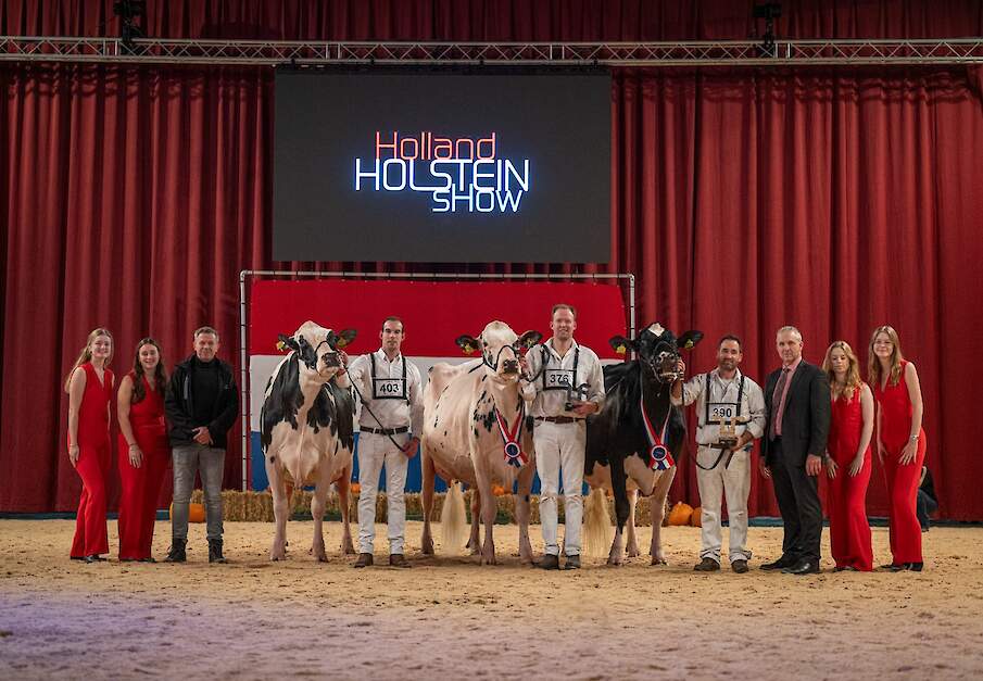 De zwartbonte seniorenkampioenes imponeerden bij zwartbont: Rechts kampioene Bons-Koba Holsteins 245, midden reservekampioene Bons-Holsteins Koba 253, links HM Southland Dem Dellia 92.