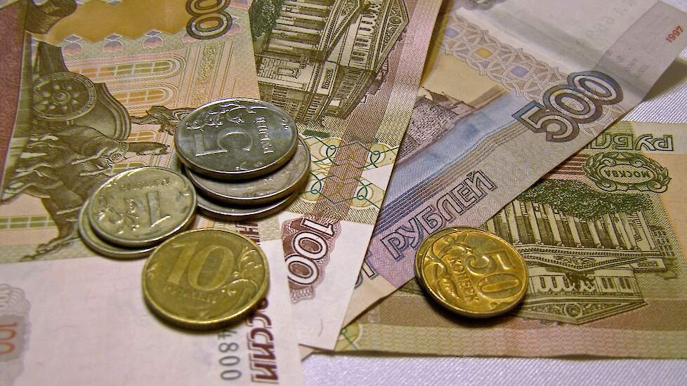 De roebel is sinds begin dit jaar gedaald van 0,01 euro (1 cent) naar 0,0086 euro. De Russische munt is daarmee ten opzichte van de euro bijna 12 keer minder waard geworden.