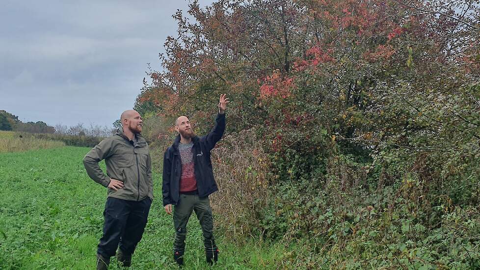 Struweelhagen komen veel voor in het gebied de Maasheggen waar melkveehouder en akkerbouwer Johan Verstegen (links) zijn bedrijf heeft. Peter Ceelen van Collectief Deltaplan Landschap werkt in het gebied nauw met hem samen aan agrarische natuur en heggen