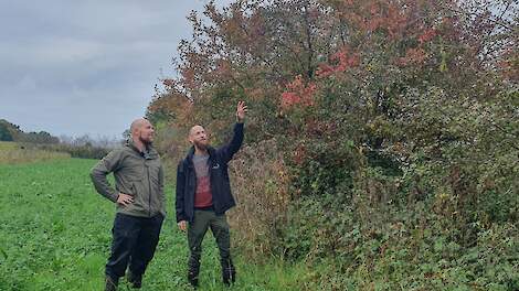 Struweelhagen komen veel voor in het gebied de Maasheggen waar melkveehouder en akkerbouwer Johan Verstegen (links) zijn bedrijf heeft. Peter Ceelen van Collectief Deltaplan Landschap werkt in het gebied nauw met hem samen aan agrarische natuur en heggen