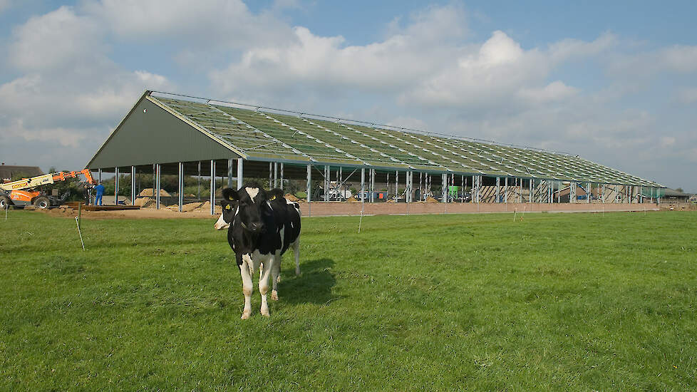 Een nieuwe stal moet binnen drie jaar gebouwd worden, anders trekt de provincie de ongebruikte stikstofruimte in.