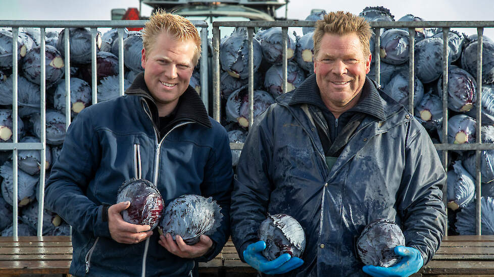 Dave (l) en Rob Weel telen in Waarland 40 hectare rode en witte kool.