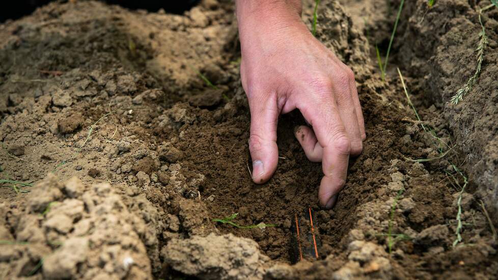 Gratis bodemadvies via het Deltaplan Agrarisch Waterbeheer