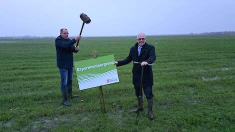 Gedeputeerden Arno Vael en Wilfried Nielen markeren een van de experimenteergrond-percelen.