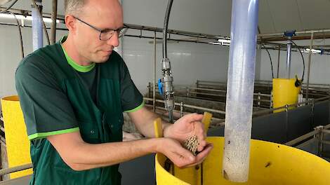 'Een gezondheidsmodule biedt, zonder dat ingeleverd wordt op groeikracht, extra ondersteuning op het moment dat het varken dit nodig heeft.'