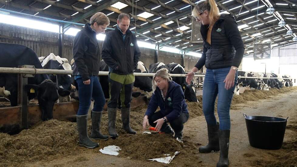 Foto bij het persbericht waarin Arla Foods UK de voerproeven met Bovaer aankondigt op 30 praktijkbedrijven.