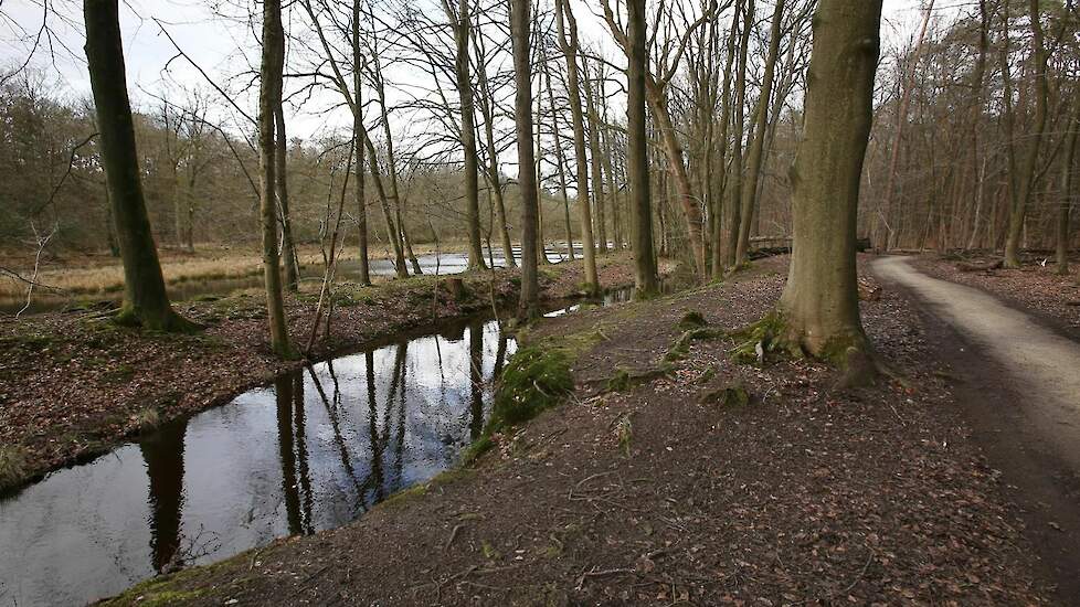 Het beleid zal zich in eerste instantie richten op de Veluwe.