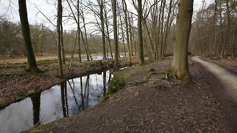 Het beleid zal zich in eerste instantie richten op de Veluwe.