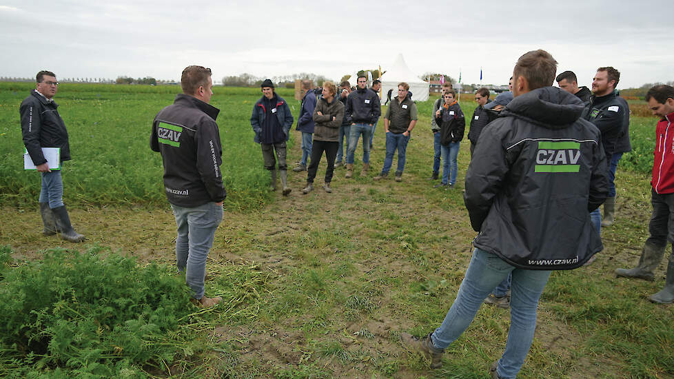 De groenbemesterdemo van FarmPlus op de Rusthoeve in Colijnsplaat.