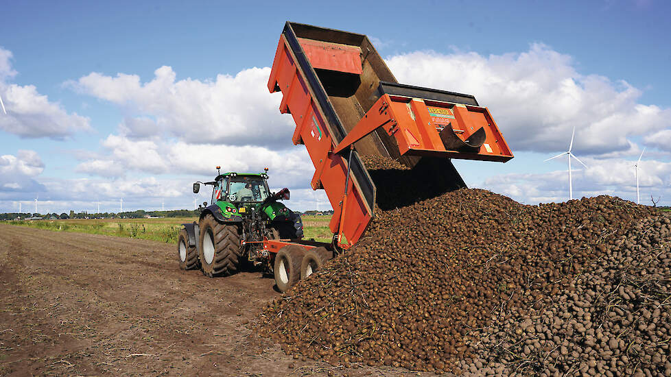 Het ene zetmeelras gaat efficiënter om met stikstof dan het andere.