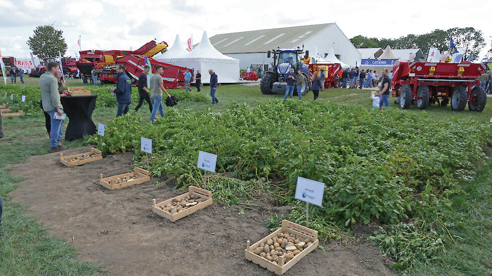 Dat weerbaar telen door sterke rassen belangrijker wordt, blijkt uit de aandacht ervoor tijdens evenementen als de Aardappeldemodag.