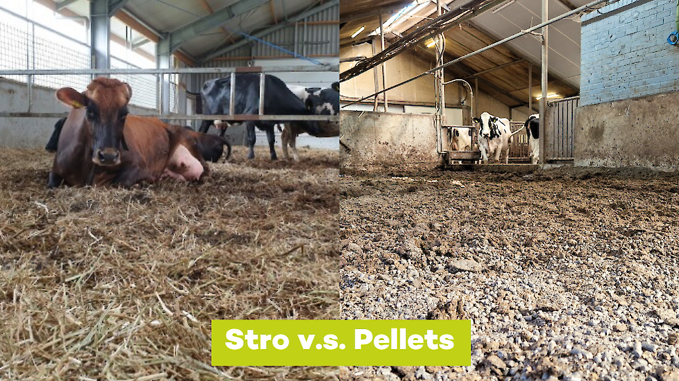 Pellets in de stal