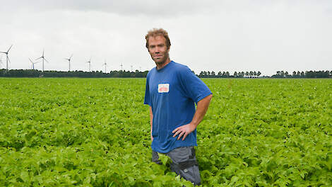 Bart Bastiaanssen oogstte uiteindelijk iets boven de 50 ton bruto per hectare.