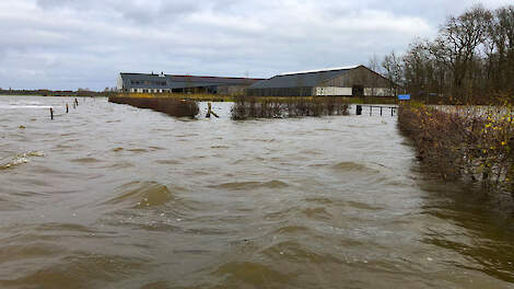 Het bedrijf De Keizersrande Boer ’n Buffel, in de uiterwaarden van de IJssel, kampte met hoogwater, om de stad Deventer droge voeten te laten houden.