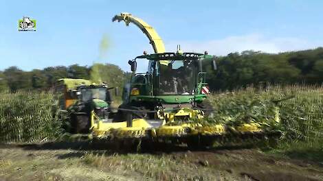 Maïs hakselen met John Deere 8600i