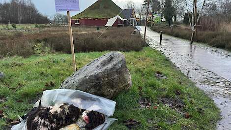 Het kadaver onder het bord te Ruinen.