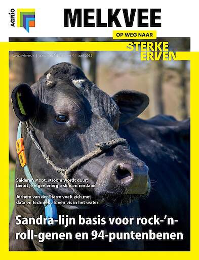 Vakblad Melkvee › Editie 2025-4