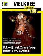 Vakblad Melkvee › Editie 2025-6