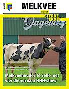 Vakblad Melkvee › Editie 2025-10