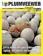 Vakblad Pluimveeweb › Editie 2025-3