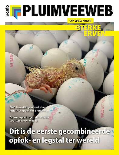 Vakblad Pluimveeweb › Editie 2025-3
