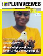 Vakblad Pluimveeweb &rsaquo; Editie 2025-8