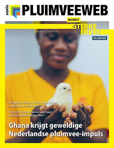Vakblad Pluimveeweb &rsaquo; Editie 2025-8