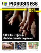 Vakblad Pig Business › Editie 2025-1