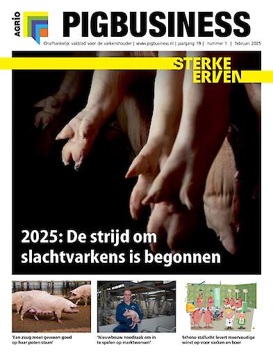 Vakblad Pig Business › Editie 2025-1