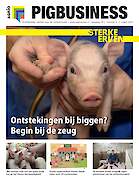 Vakblad Pig Business › Editie 2025-2