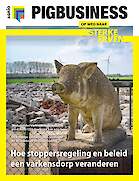 Vakblad Pig Business › Editie 2025-4