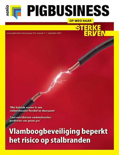 Vakblad Pig Business › Editie 2025-7