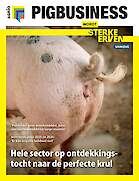 Vakblad Pig Business › Editie 2025-10