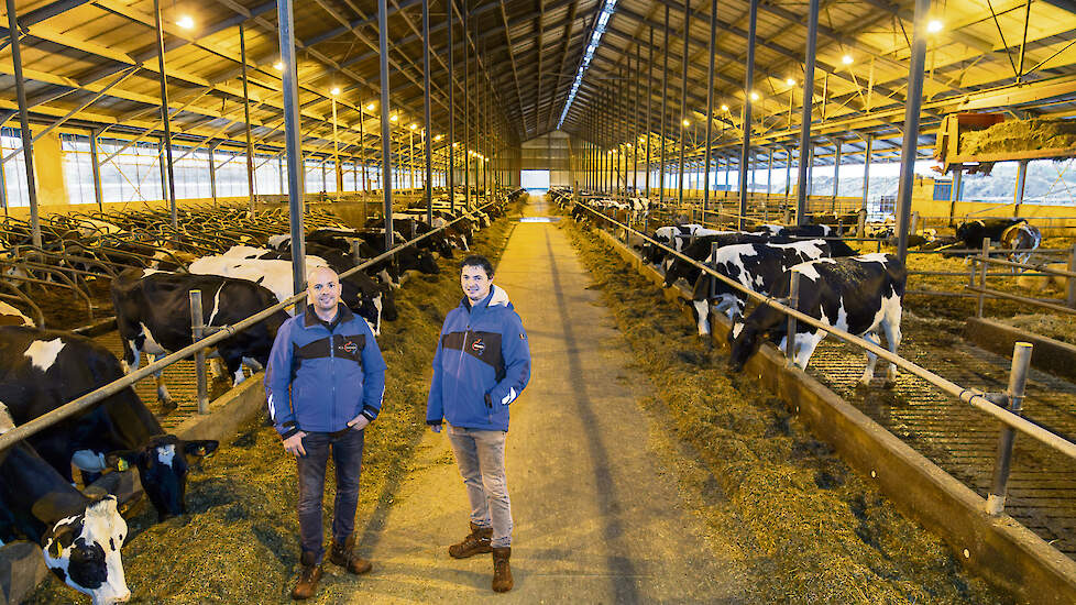 De broers Ralph en Bas Engelen in de melkveestal. De ligboxenstal telt 365 ligboxen en er is plek voor 200 koeien op stro.